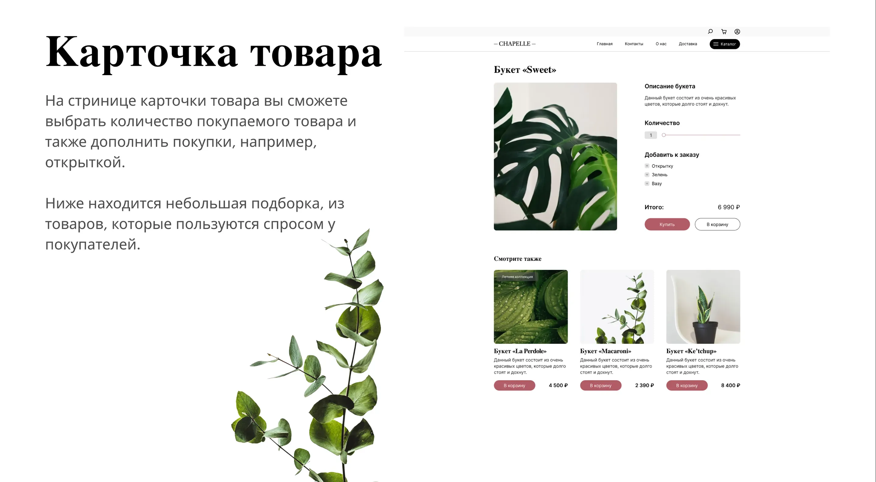 compressed_image-3.webp
